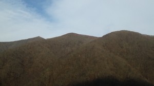 仙人峠（雌岳，蟹が岳，桜山）